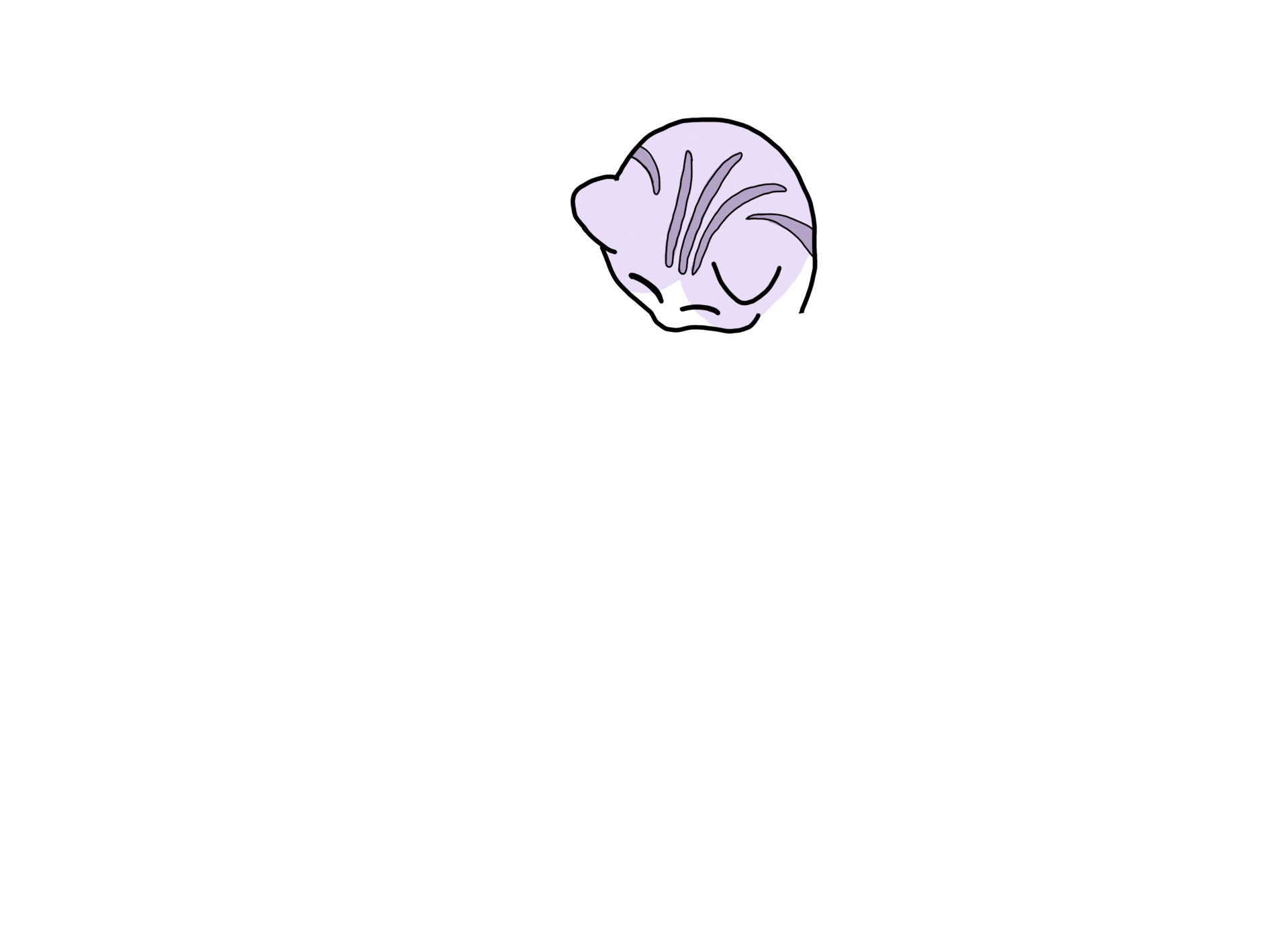 Head